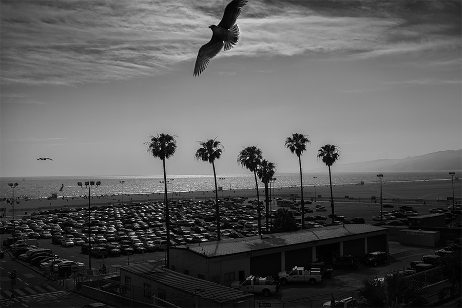 Santa Monica I, 2017